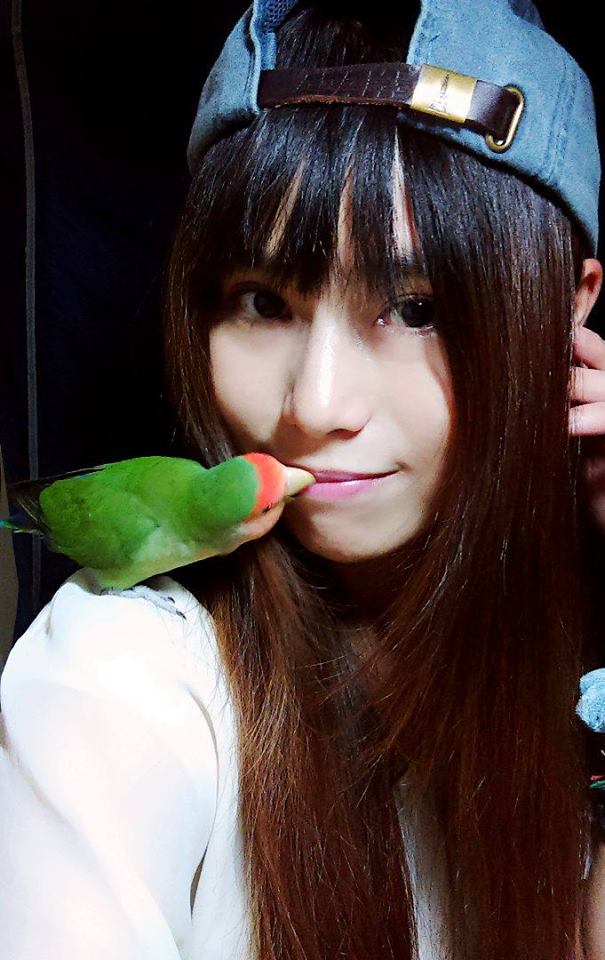 圖片
